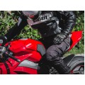 LUIMOTO TANK LEAF Tank Pads for the Ducati Panigale / Streetfighter V4 / S / R / Speciale LUIMOTO TANK LEAF Tank Pads for the Ducati Panigale / Streetfighter V4 / S / R / Speciale